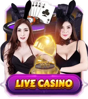 LiveCasino